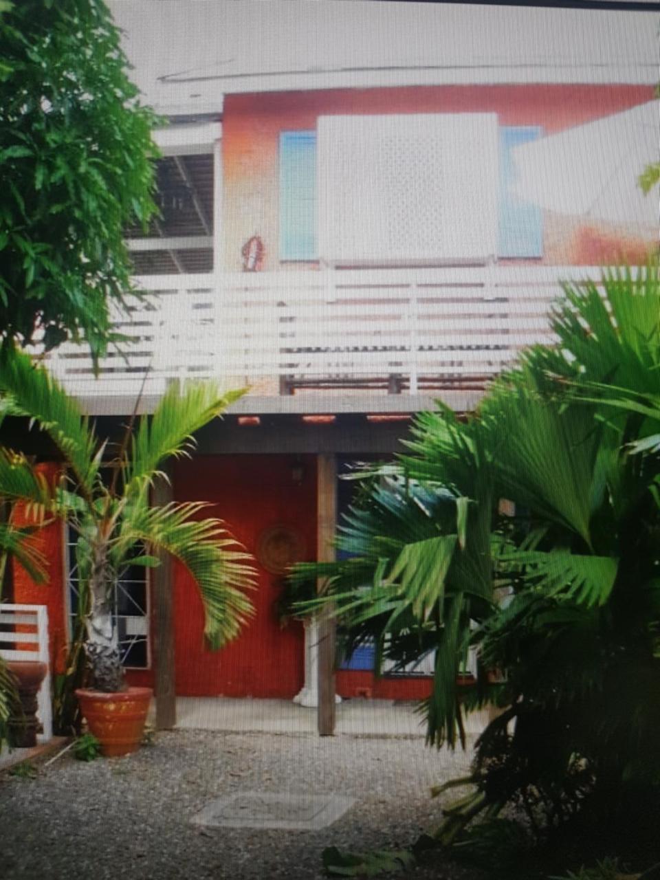 Mikuzi Kingston Exterior foto